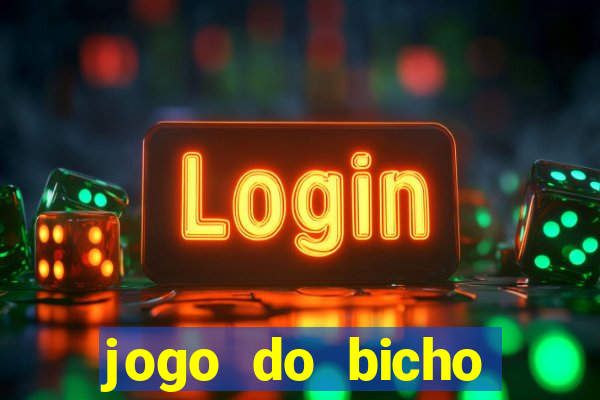 jogo do bicho crash bingo